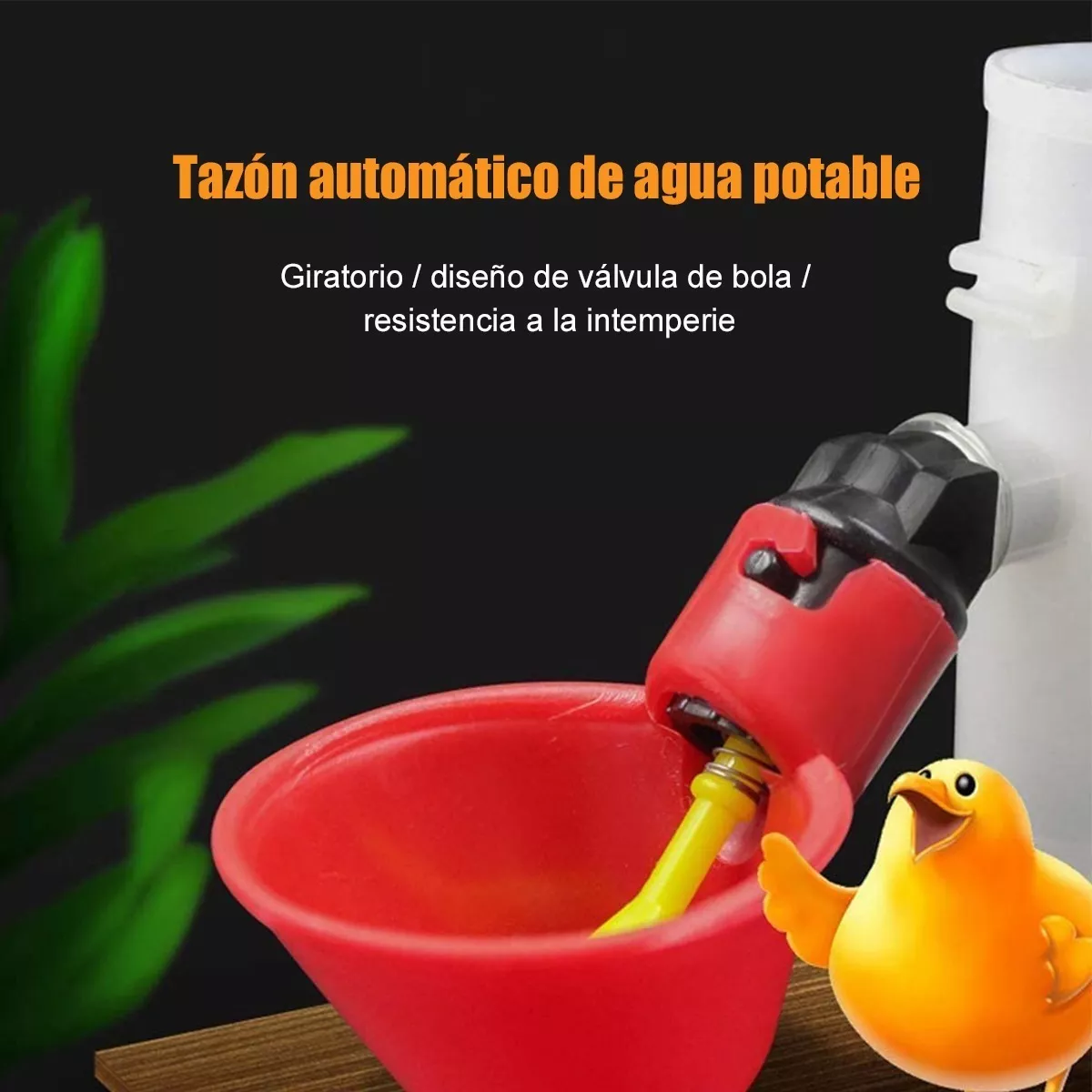 Bebedero Automático Para Codorniz, Pollo, Gallo, 25 Piezas Rojo