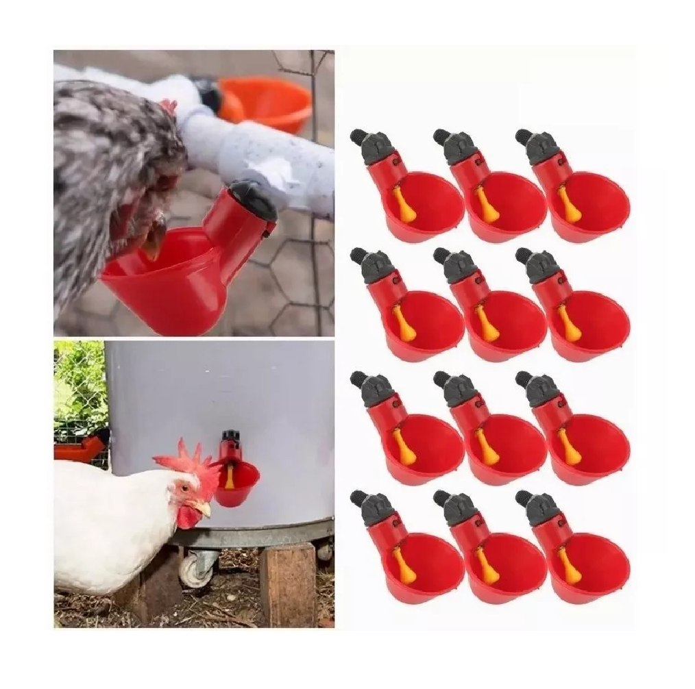 Bebedero Automático Para Codorniz, Pollo, Gallo, 25 Piezas Rojo
