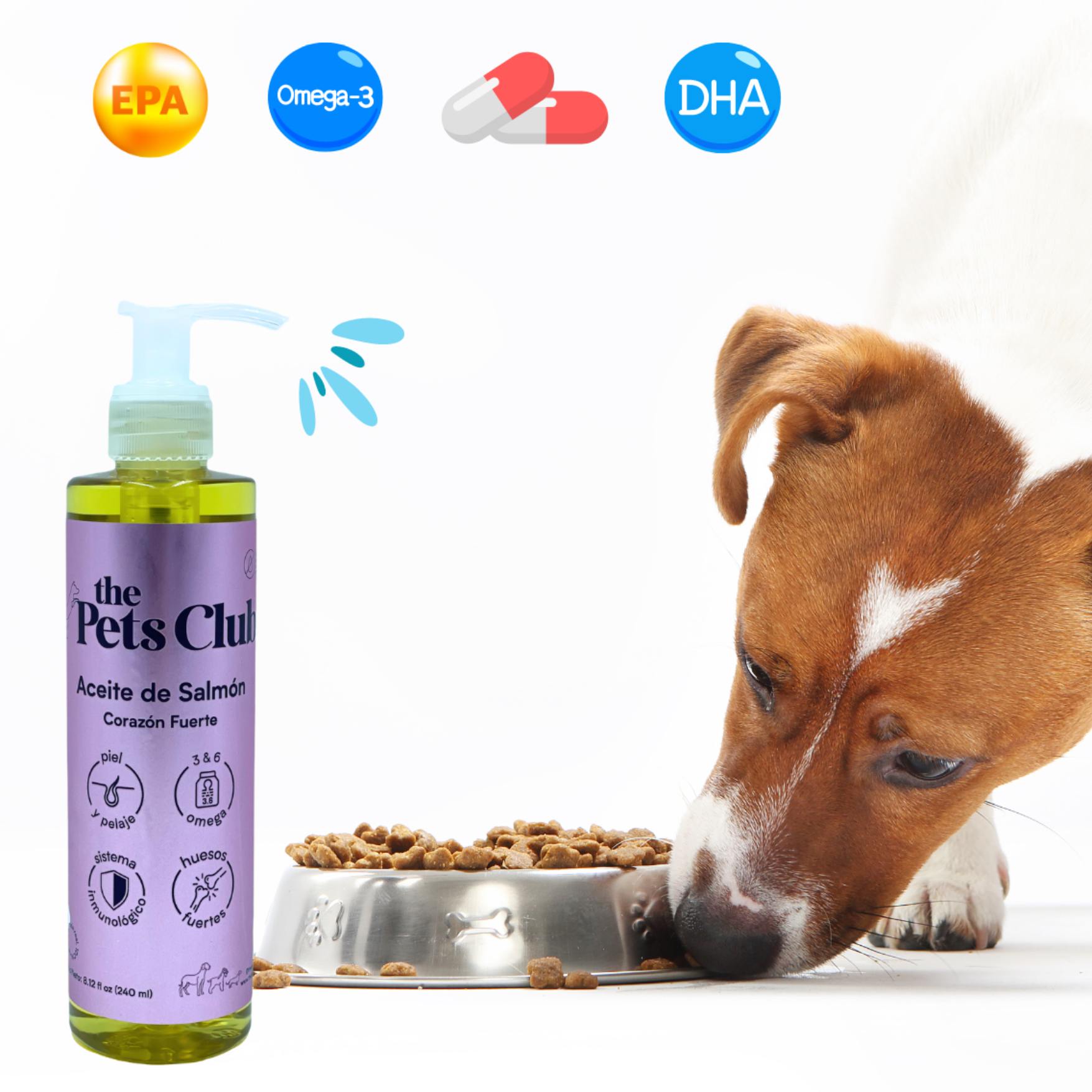 Aceite de Salmon para perros