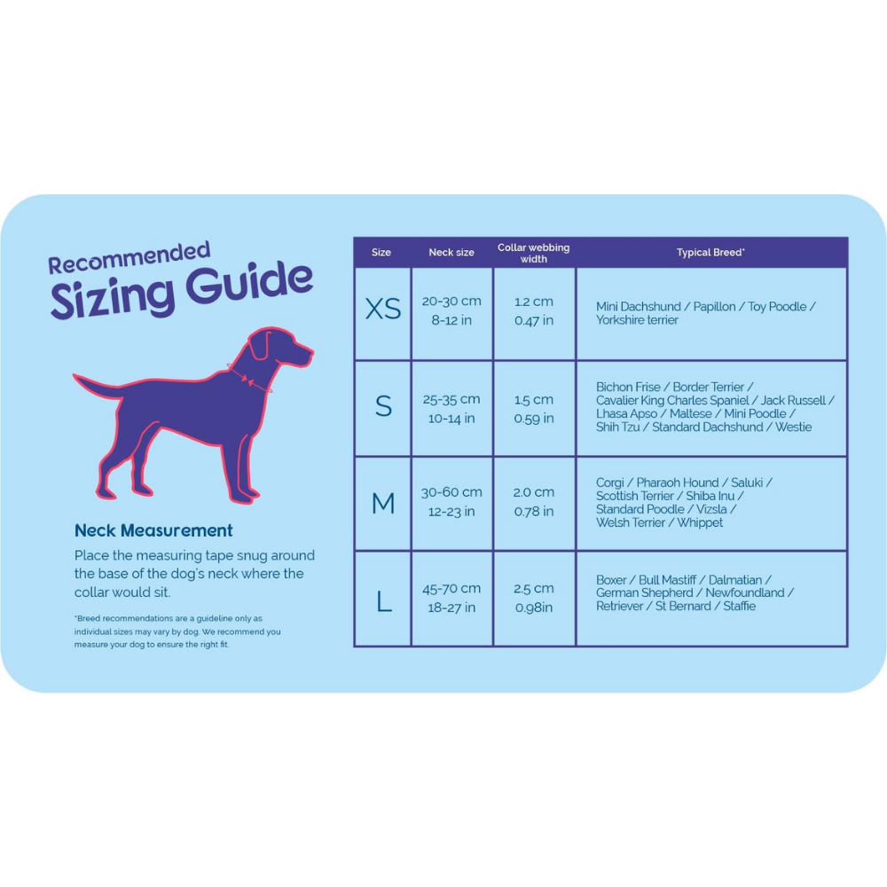 HALTI Collar Morado (35cm -50cm)