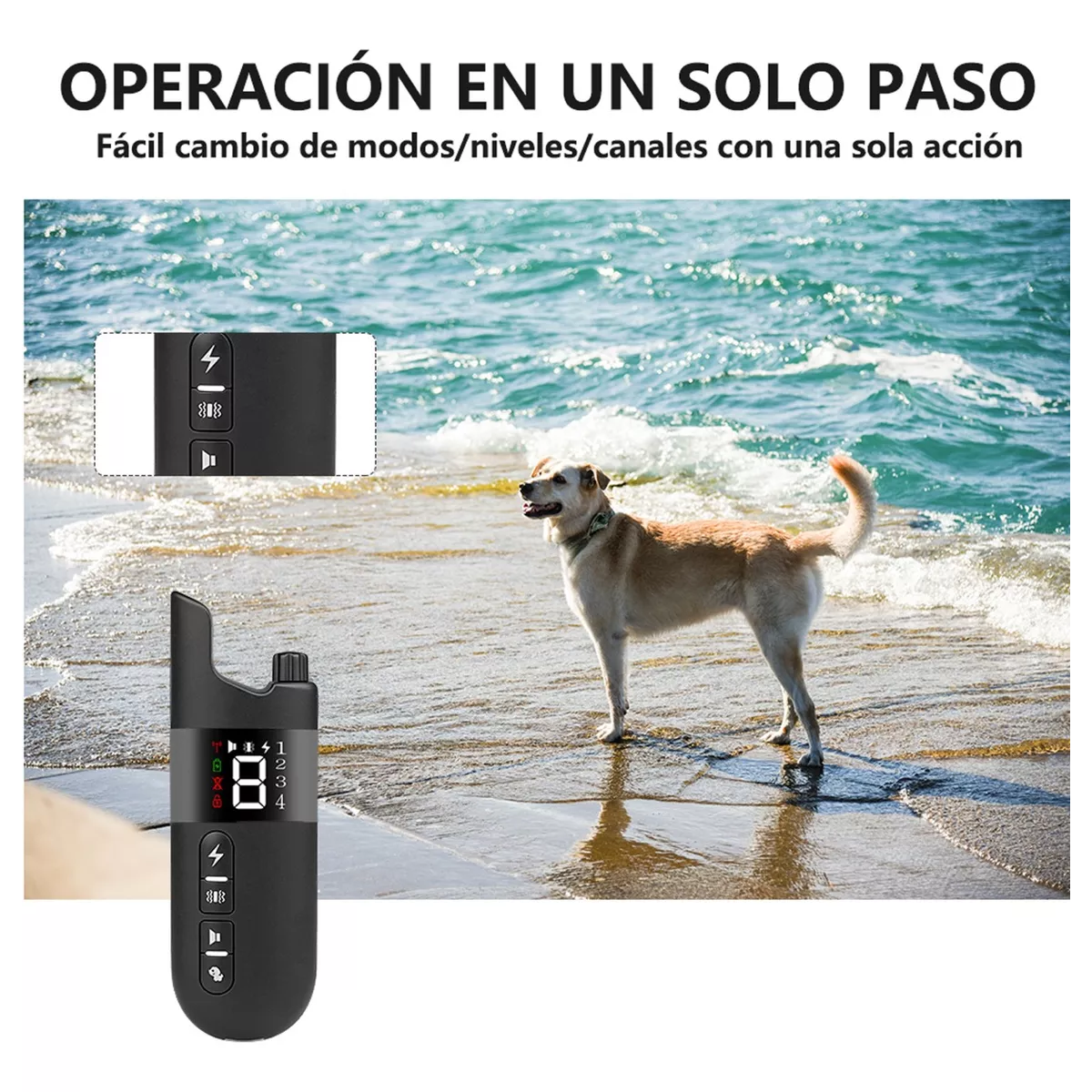 Set Anti Ladrido Perro Entrenamiento 2collar Eléctrico De Sonido Negro
