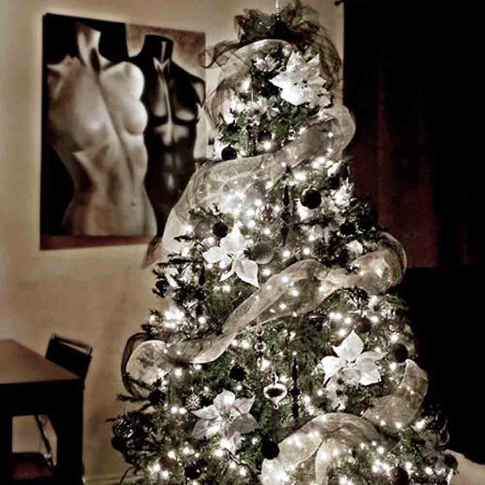 Serie de Luces Navideñas Led 300 Focos Luz Blanca brillante