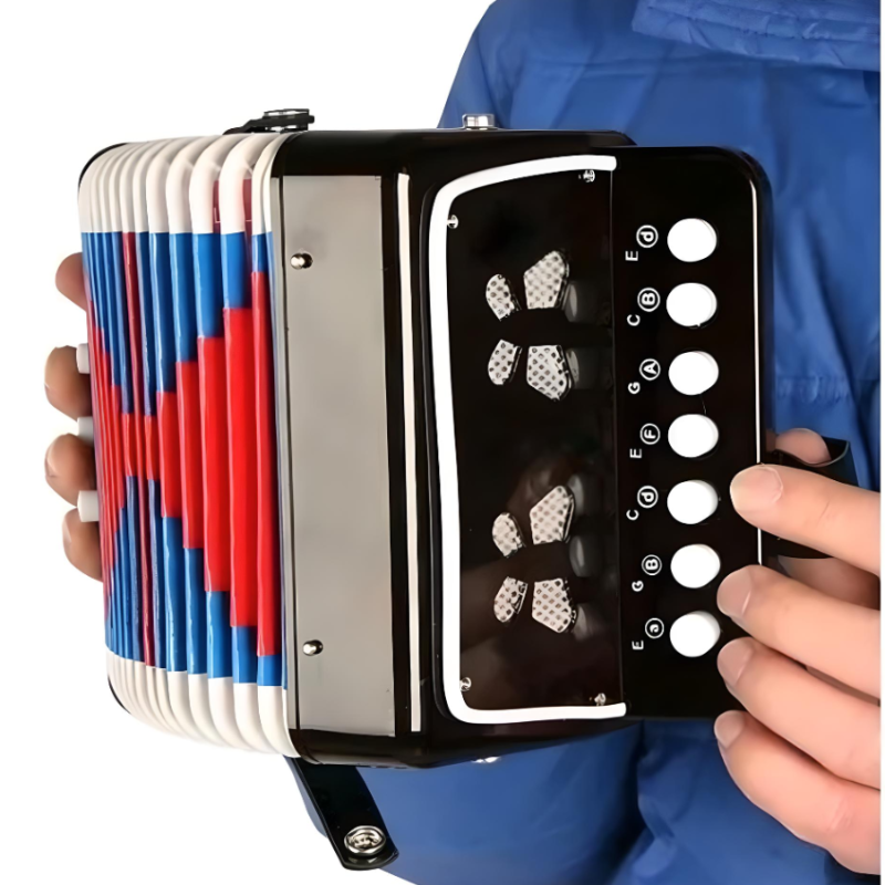 Mini Acordeón Infantil Juguete Musical Educativo Niños Negro