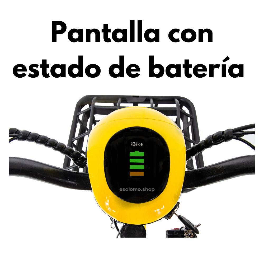 Bicicleta electrica EB04 de 350W con bloqueo antirrobo alarma