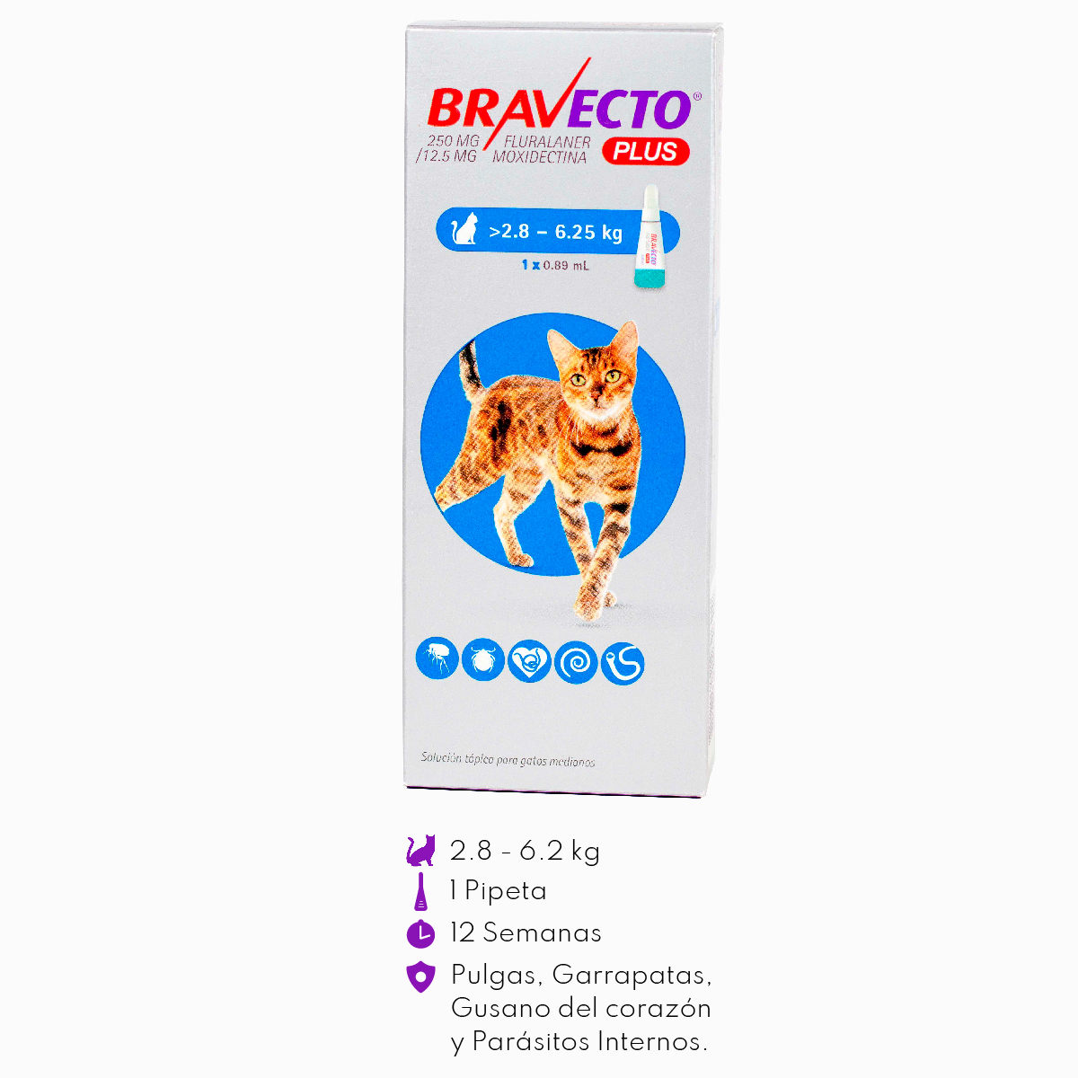 Bravecto Plus PIPETA para Gato de 2.8 a 6.25 Kg