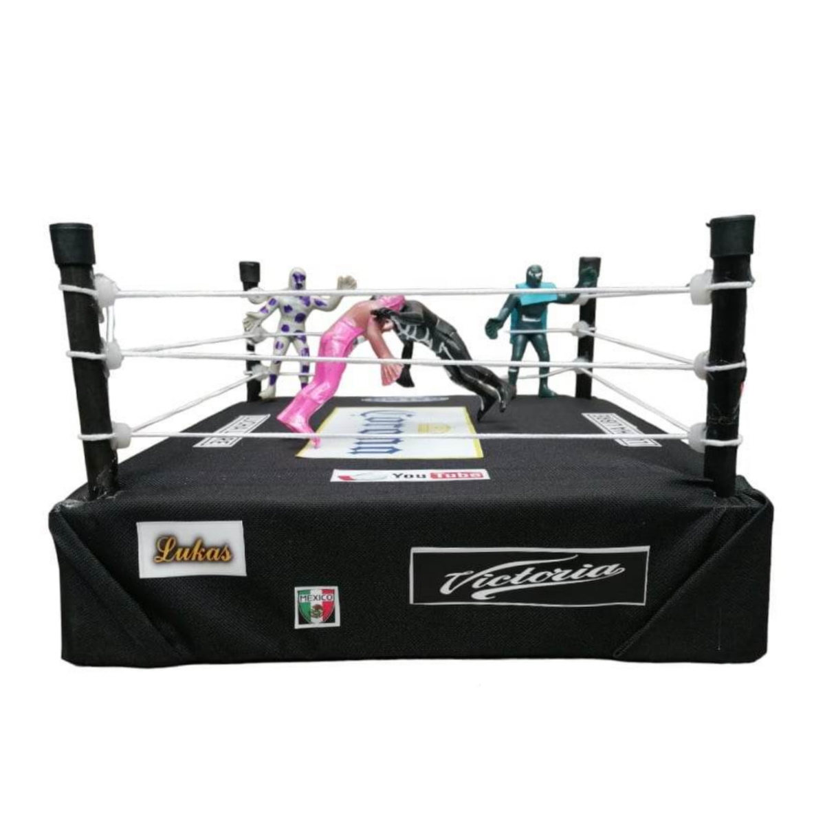 rin de lucha libre completo galmo