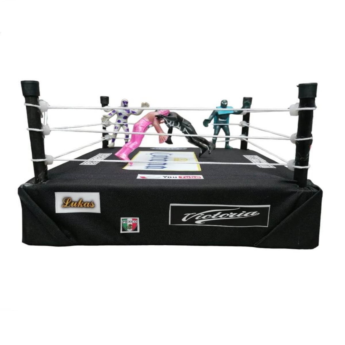 rin de lucha libre completo galmo
