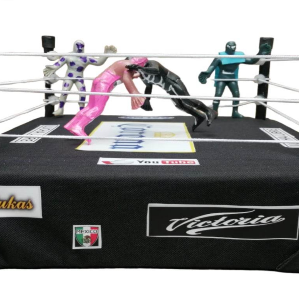 rin de lucha libre completo galmo