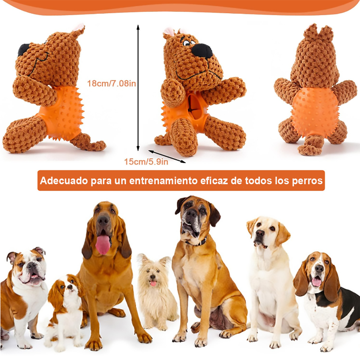 Juguete Para Perro con Depósito Para Premios Con Texturas, Juguete Interactivo para Mascota
