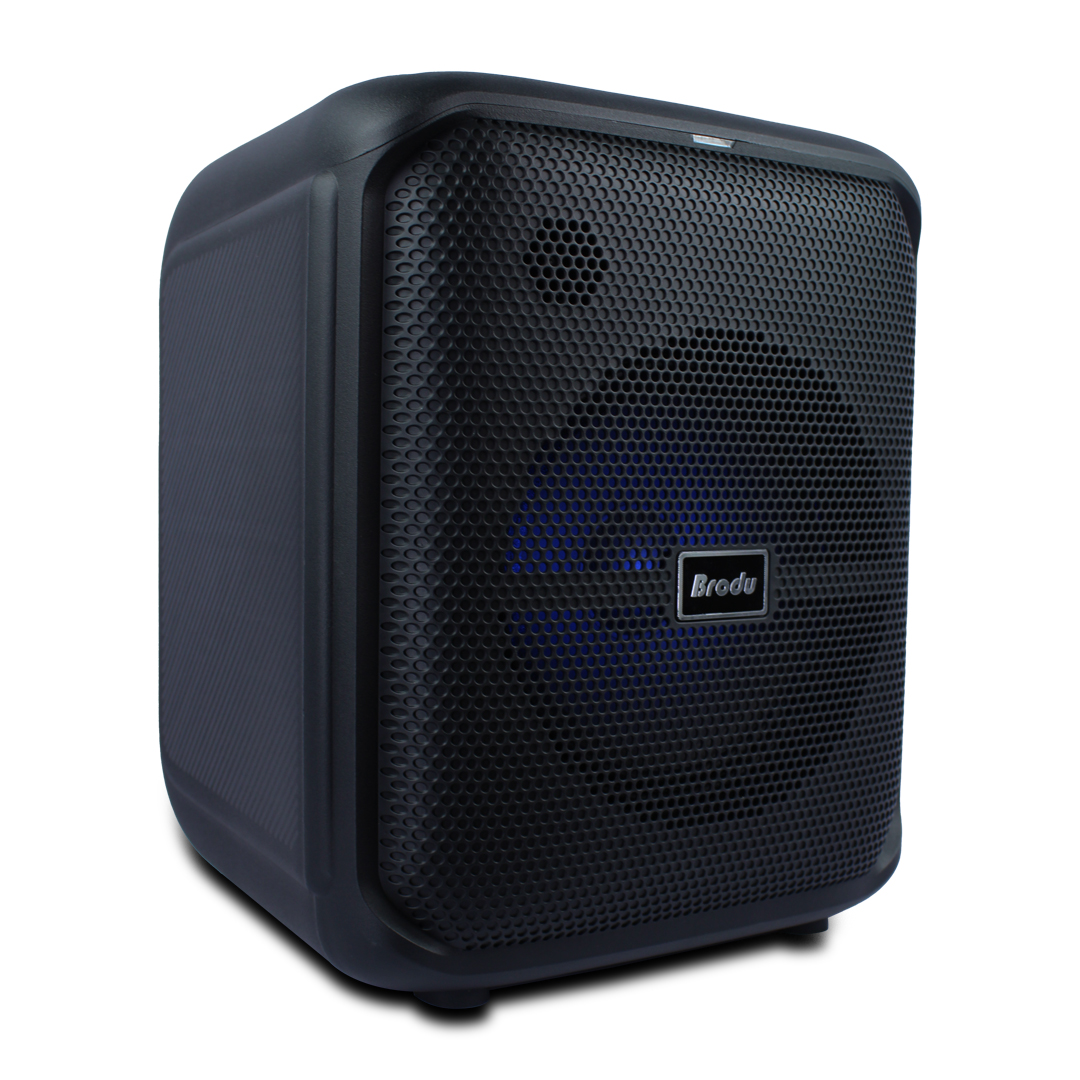 Bocina Sowoofer 8  Pulgadas 45w Doble Micrófono