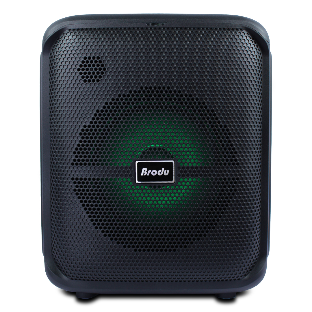 Bocina Sowoofer 8  Pulgadas 45w Doble Micrófono