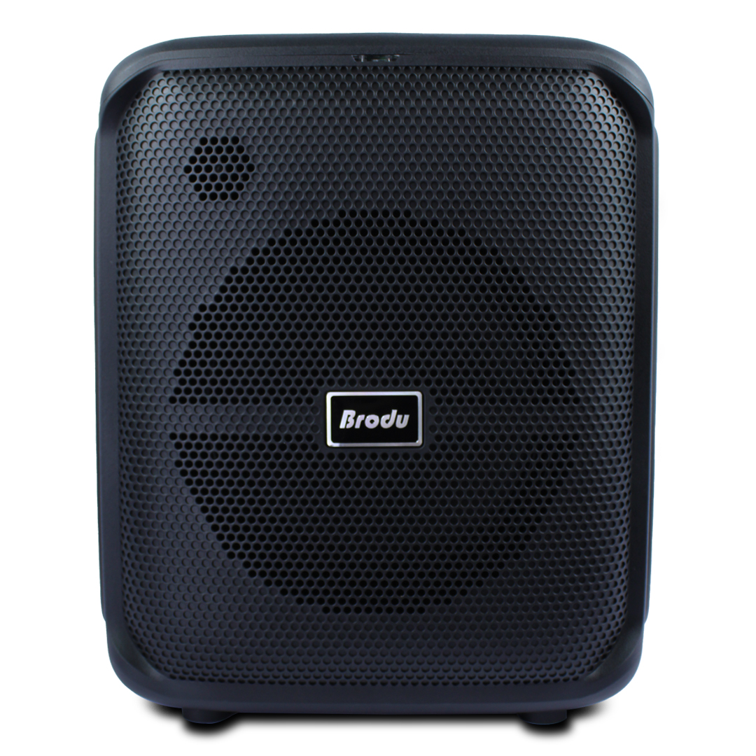 Bocina Sowoofer 8  Pulgadas 45w Doble Micrófono