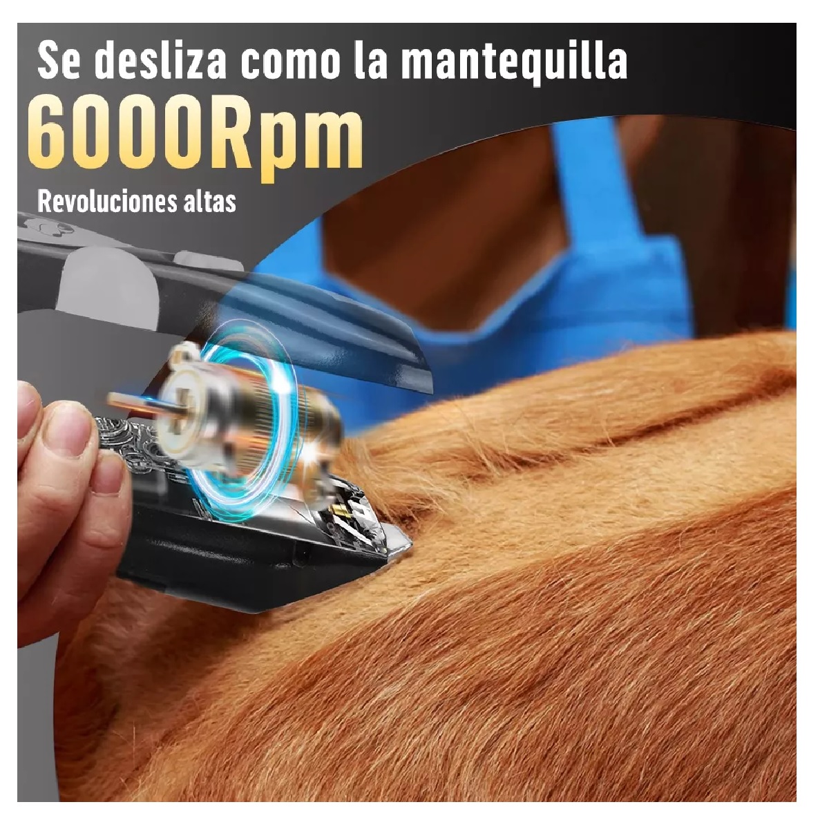 Rasuradora Para Perro Máquina Cortadora Gato Mascota Negro c/Blanco