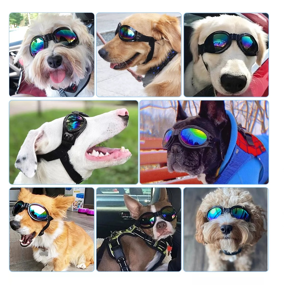 Lentes Goggles De Gafas De Sol Para Perros Protección Uv