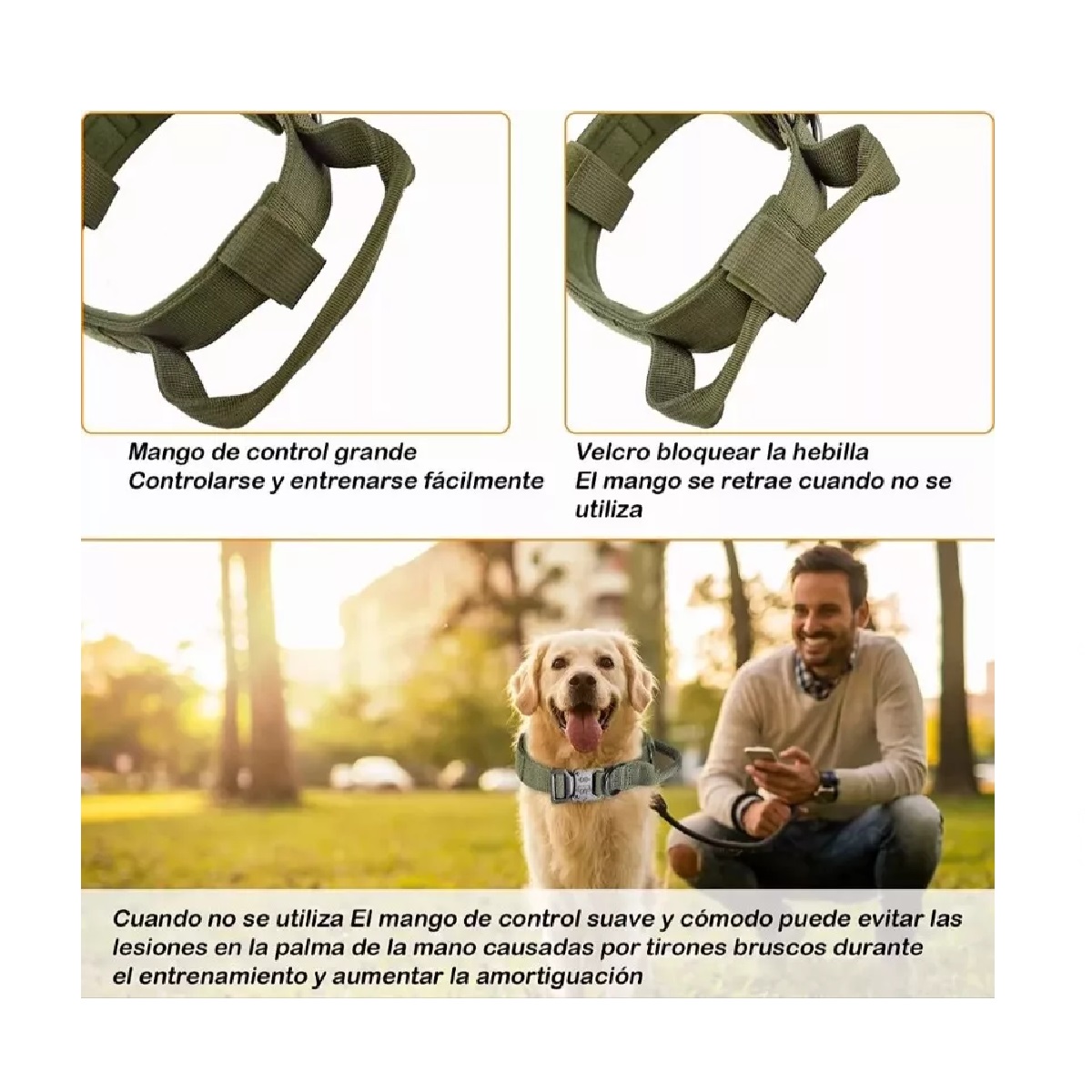 Collar Táctico Para Perro Con Hebilla De Metal Resistente Verde Militar L