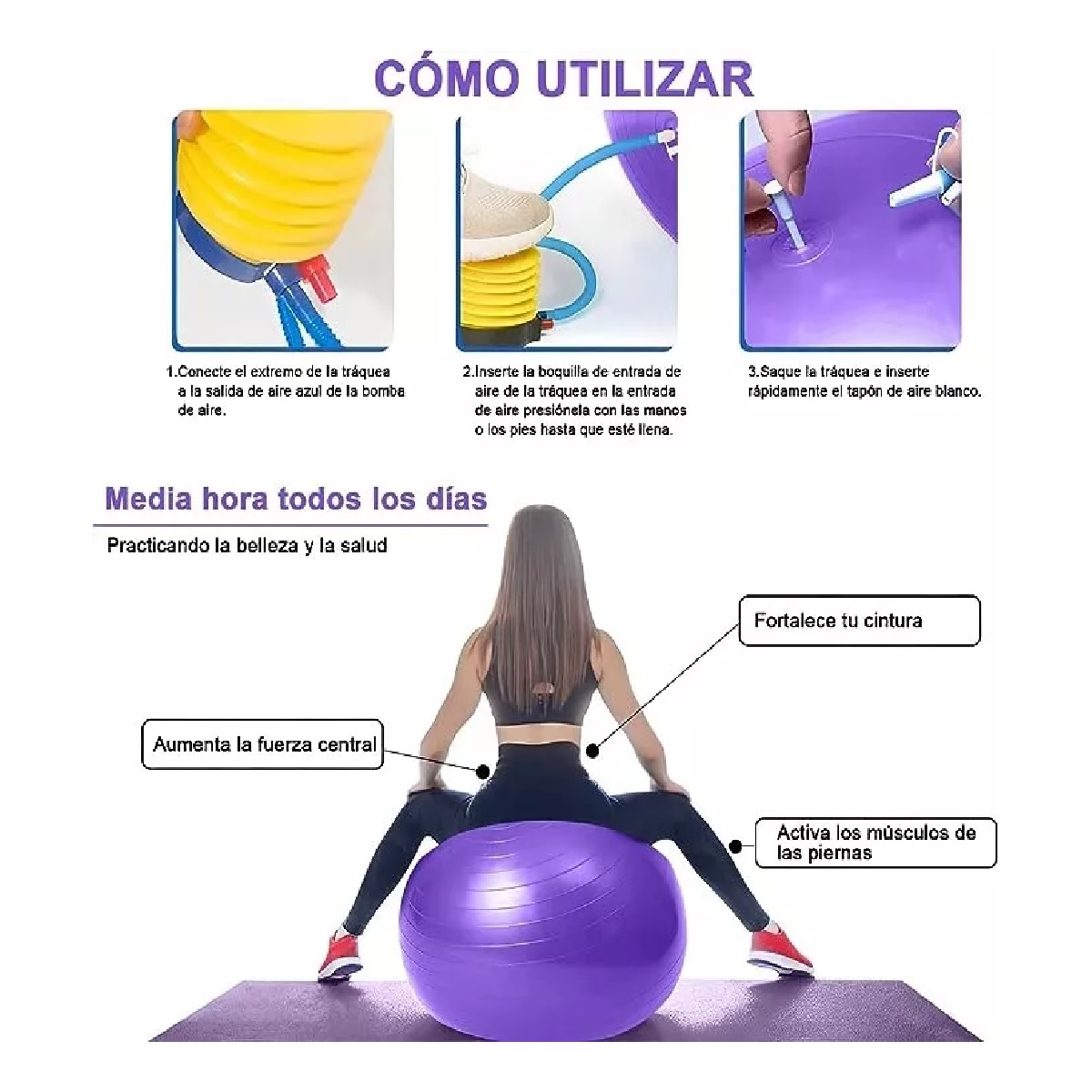 Pelota Fitness De Ejercicio Para Yoga Pilates 65cm Con Bomba Purpura