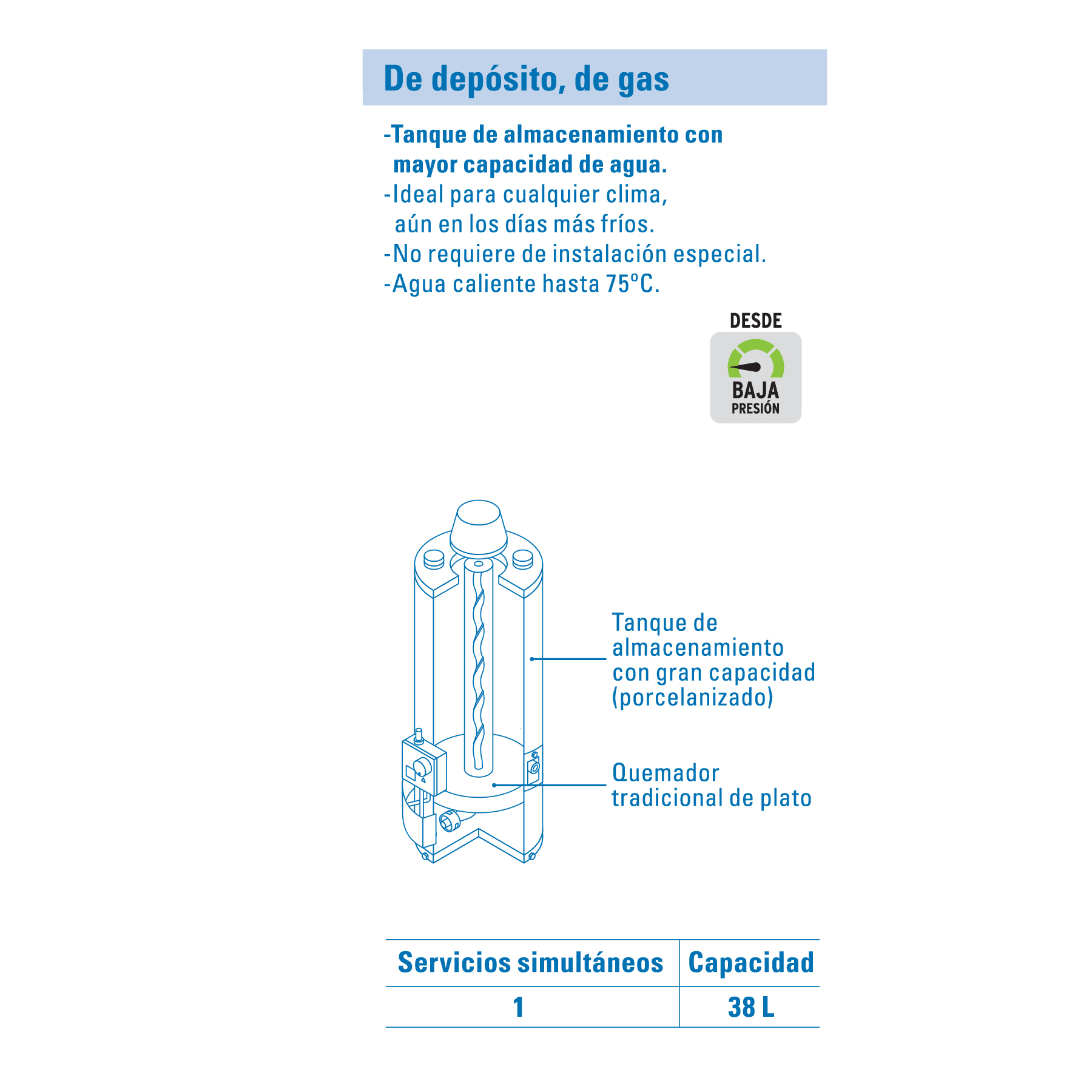 CALENTADOR DE DEPÓSITO 38 L 1 SERVICIO GAS L.P., FOSET
