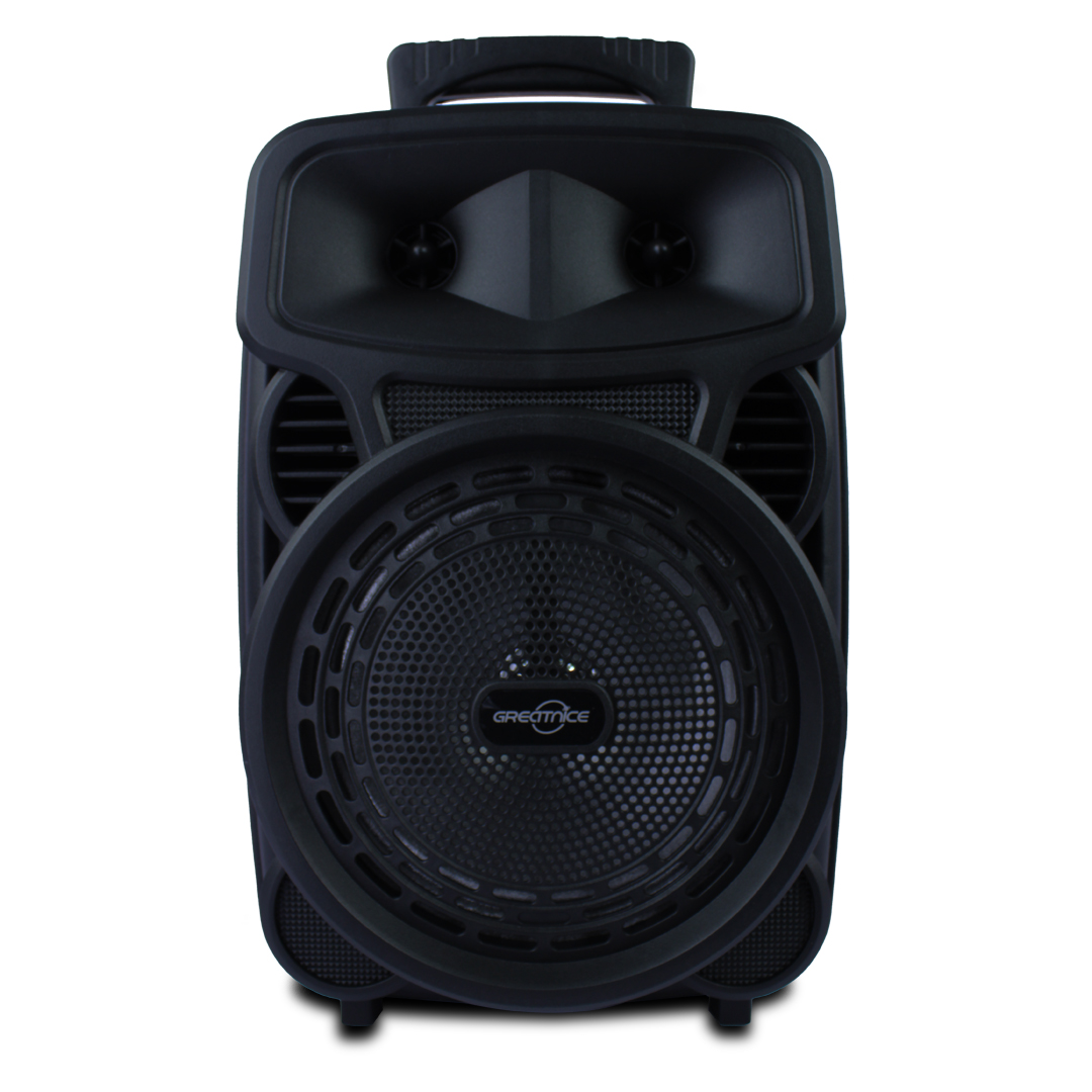 Bocina Karaoke 8 Pulgadas Fm Usb Aux Mic 