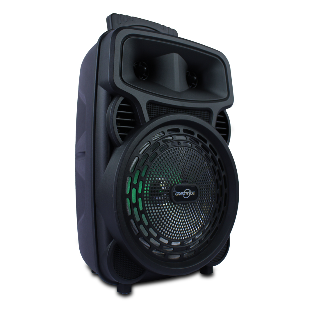 Bocina Karaoke 8 Pulgadas Fm Usb Aux Mic 