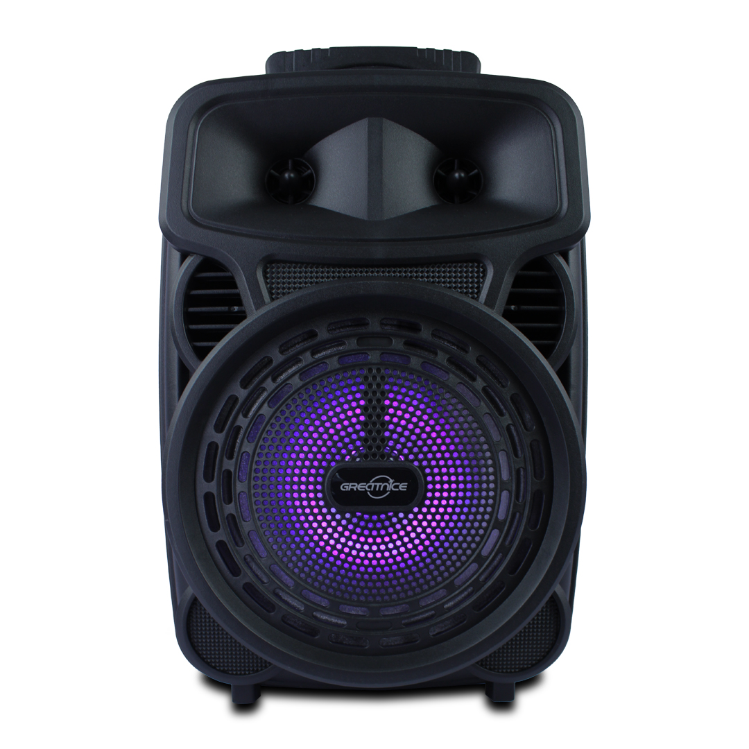 Bocina Karaoke 8 Pulgadas Fm Usb Aux Mic 