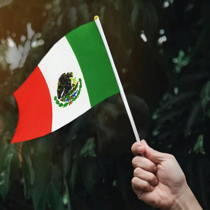 Banderitas de Tela de México MXMCX-001-2 5 Pzas 14x21cm Tela Poliéster Asta Plástico Tricolor, MXminiFlag