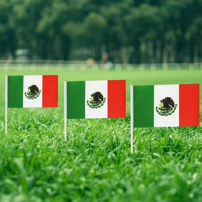 Banderas para Escuelas MXMCX-005-3 25 Pzas 14x21cm Tela Poliéster Asta Plástico Tricolor, MXminiFlag