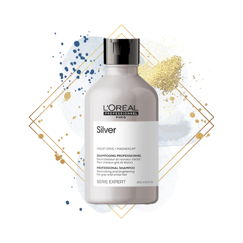 Shampoo Loreal Silver Serie Expert 300ML