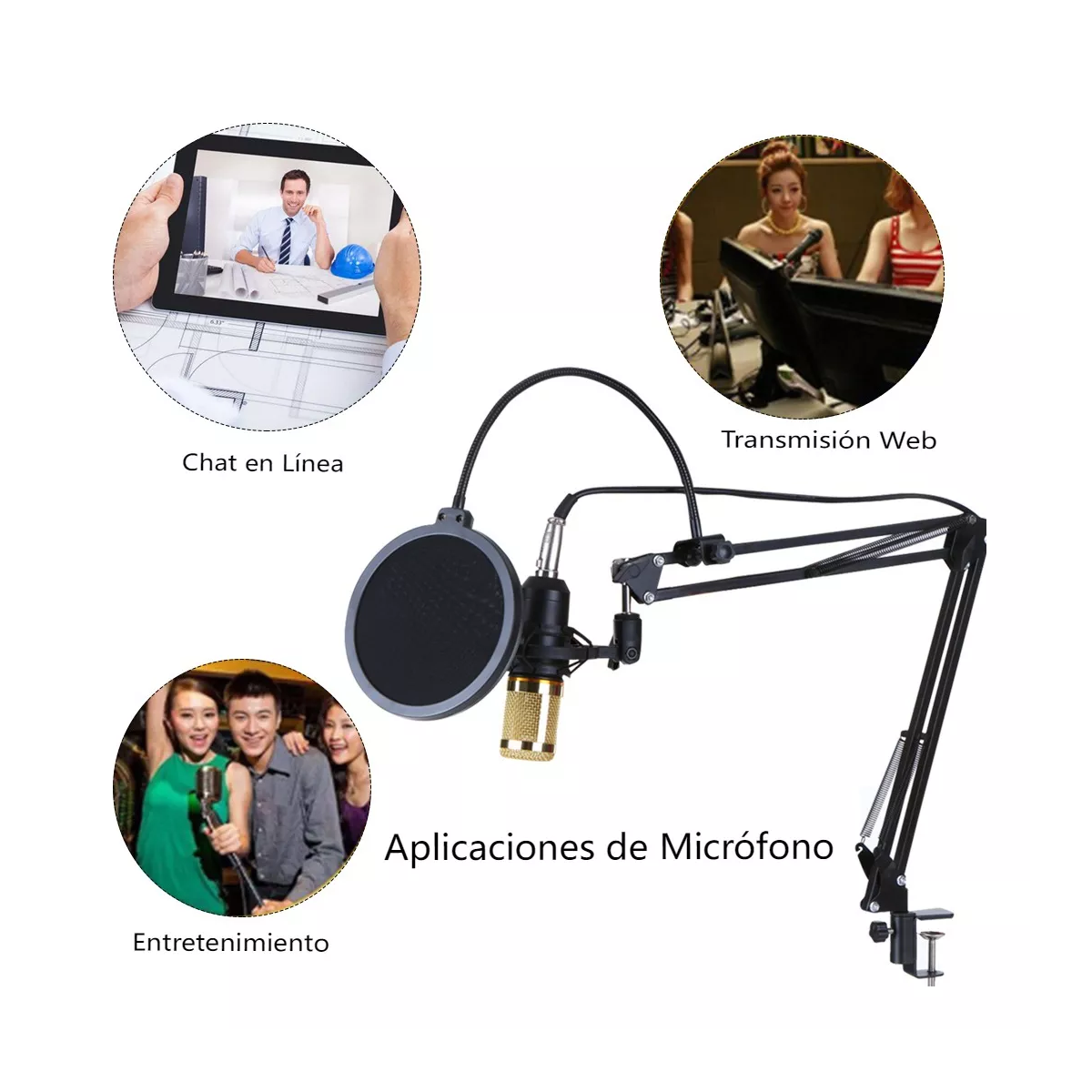 Kit Micrófono Plata De Condensador Con Tarjeta De Sonido V8