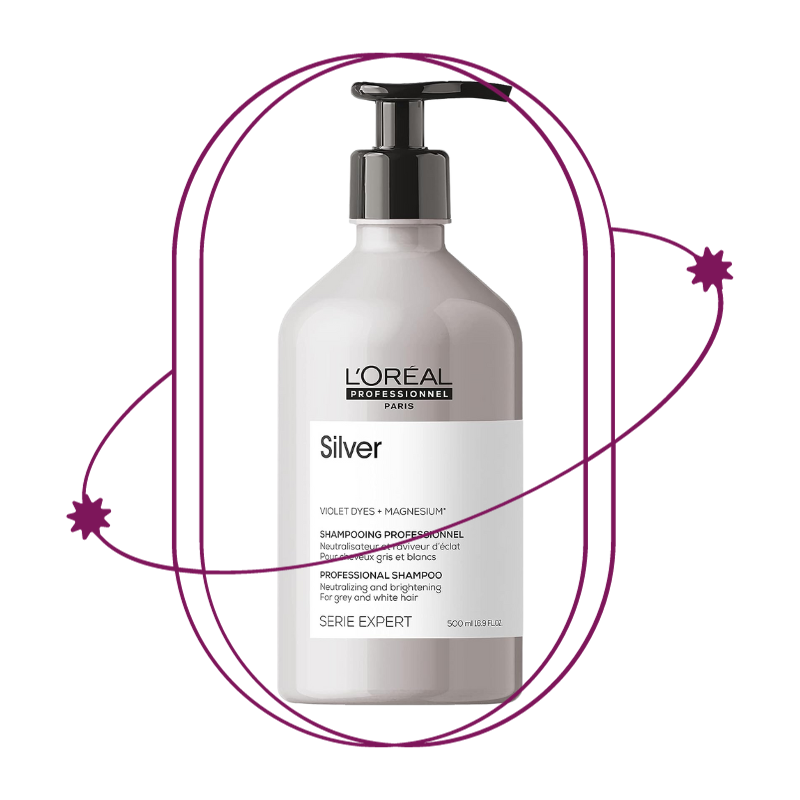 Shampoo Loreal Silver Serie Expert 500ML
