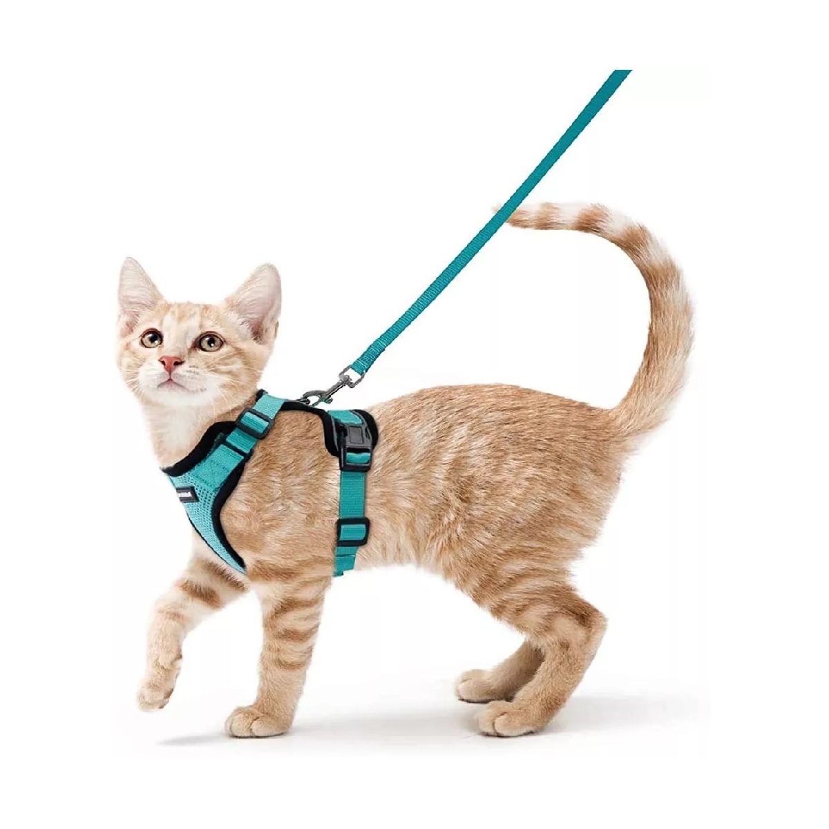 Arnes Gato Antiescape Y Ajustable Con Correa Para Caminar,xs