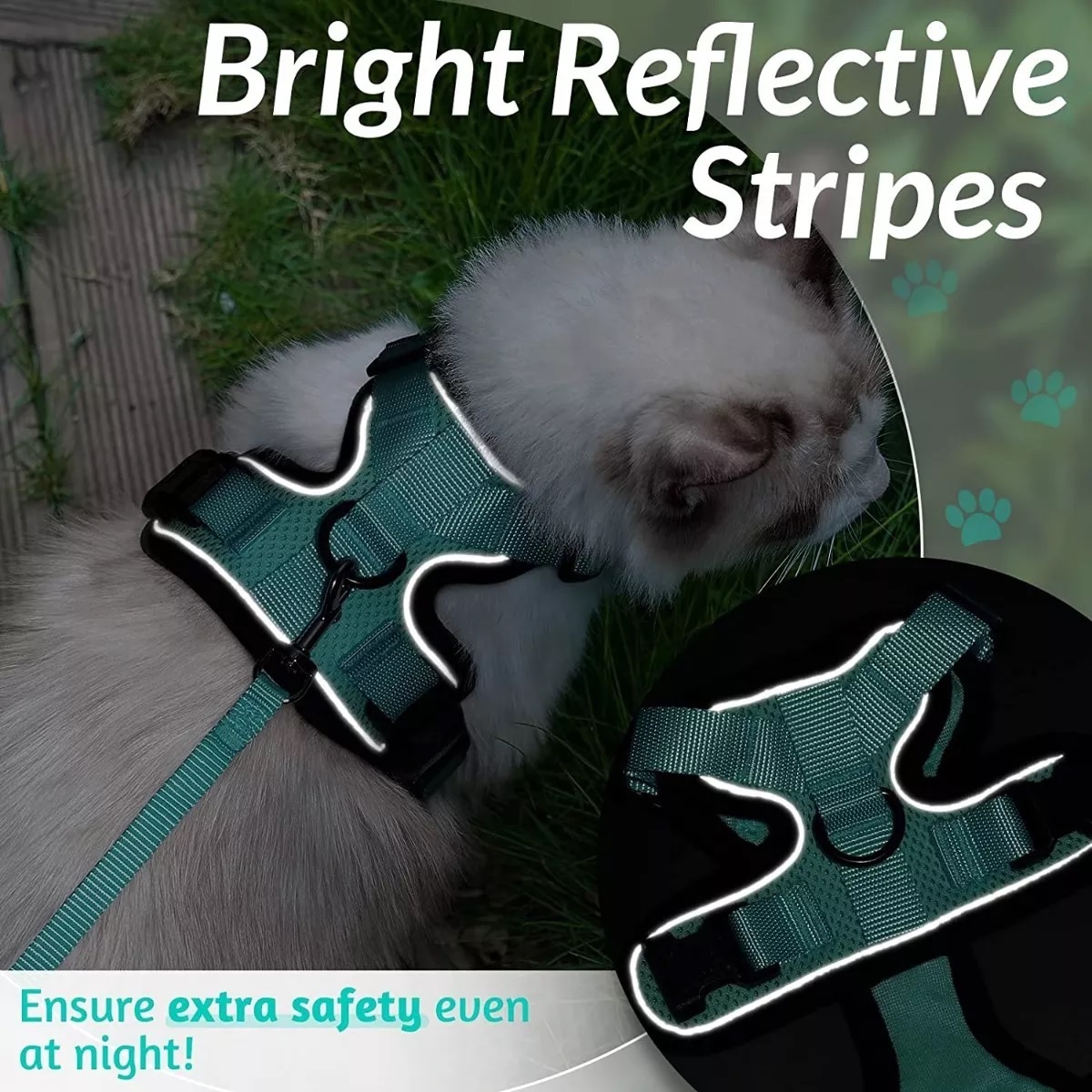 Arnes Gato Antiescape Y Ajustable Con Correa Para Caminar,xs