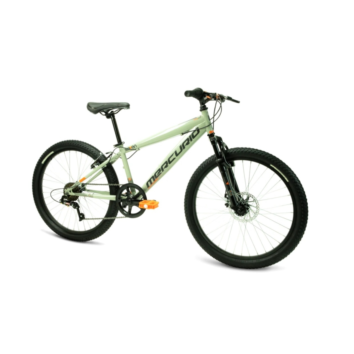 Bicicleta Mercurio Seven R24 Gris 7 Vel 