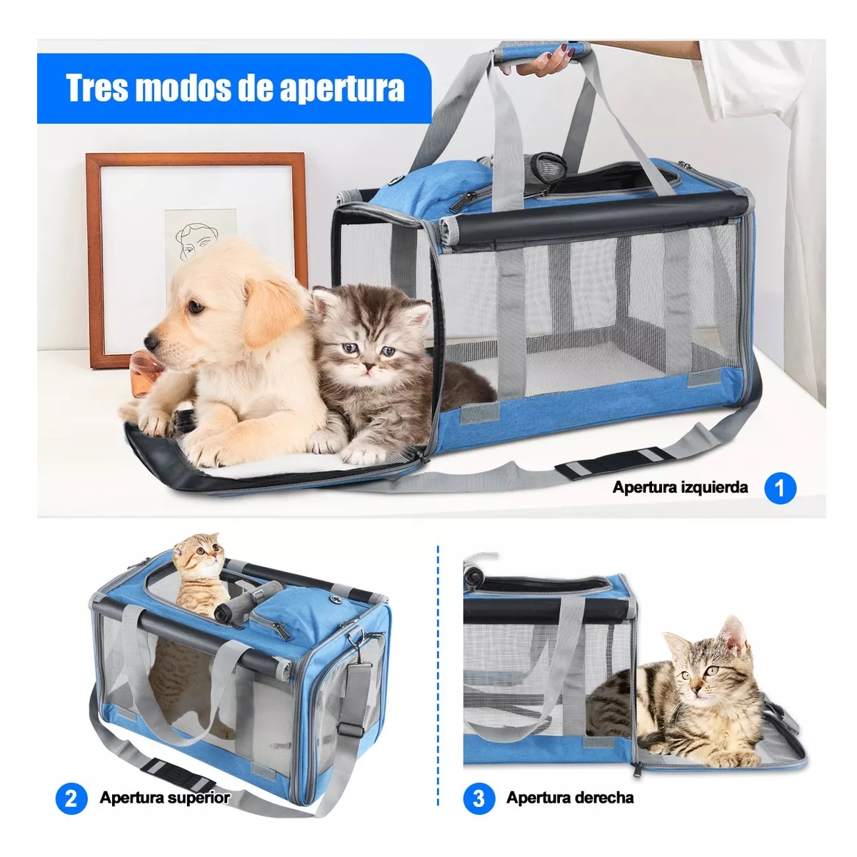 Mochila Portátil Transportadora Gato Perro Mascota Azul
