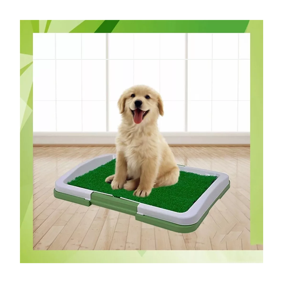 Tapete Para Perro, Para Que Haga Del Baño, entrenador,