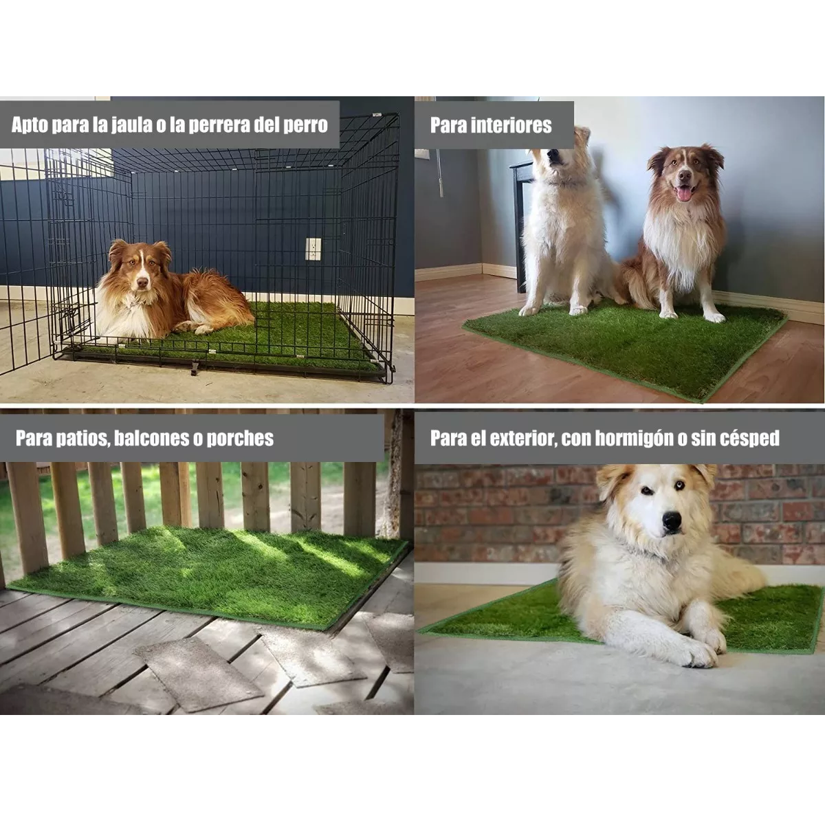 Tapete Entrenador Pasto Perro Transpirable Y Lavable 46x71cm