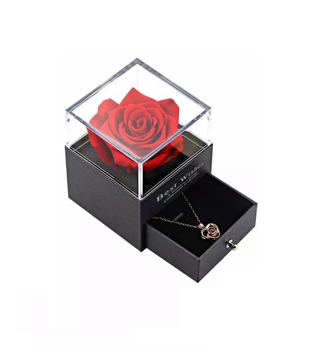 Rosa Eterna Real Preservada + Collar Te Amo En 100 Idiomas Estuche Negro
