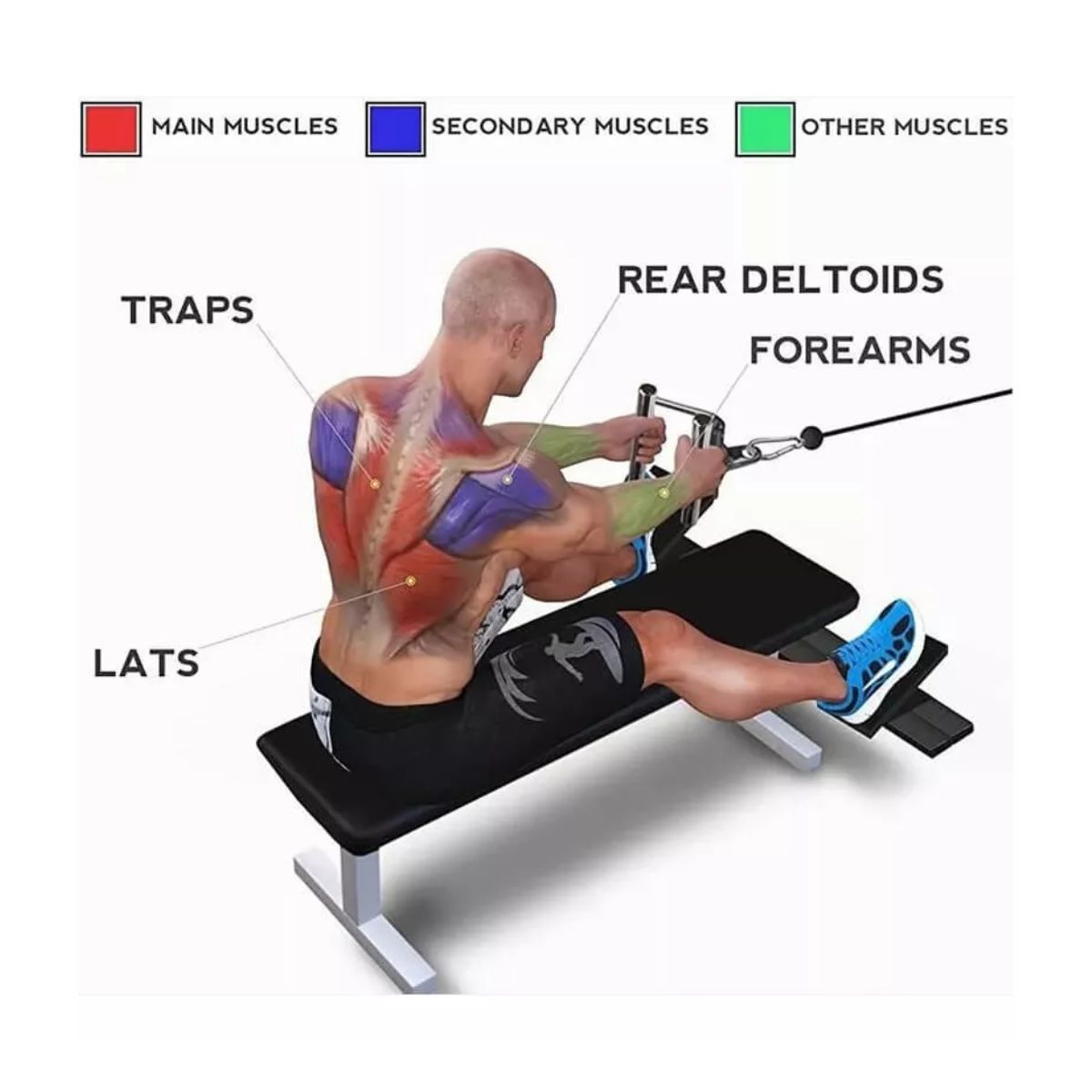 Agarre Triangular Para Remo Gym Tipo Doble D Recubierto Plata/Negro