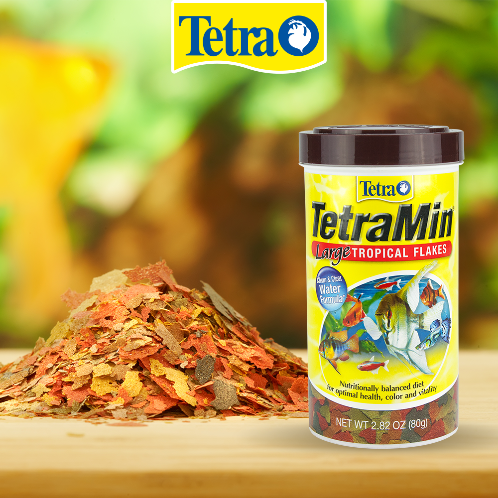 Tetra Alimento Tetramin Flakes para Peces con 80 Gramos
