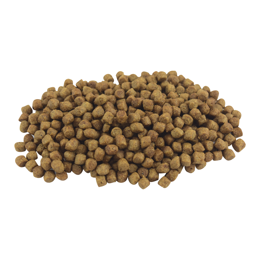 Perfect Sense Senior para Perros Mayores a 7 Años de todas las Razas de 15 Kilos