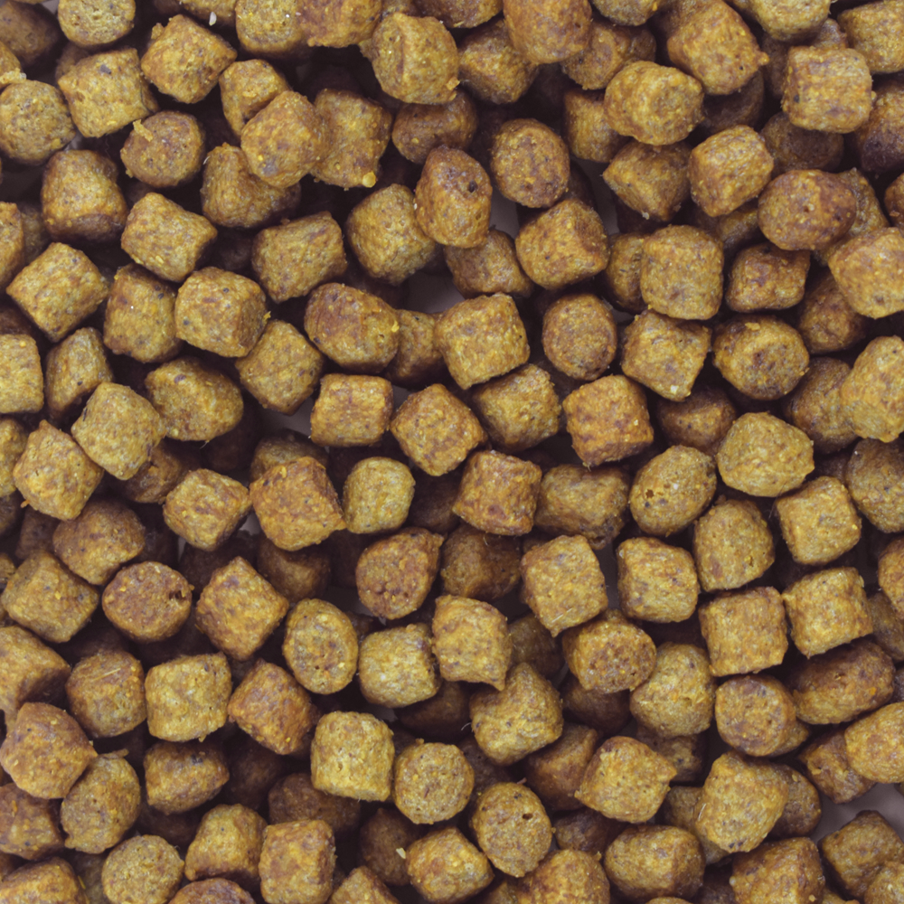 Perfect Sense Senior para Perros Mayores a 7 Años de todas las Razas de 15 Kilos