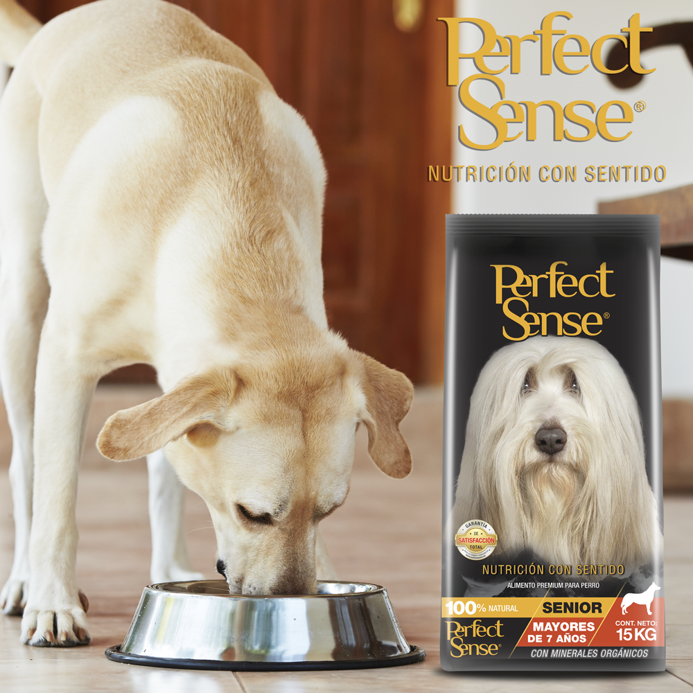 Perfect Sense Senior para Perros Mayores a 7 Años de todas las Razas de 15 Kilos