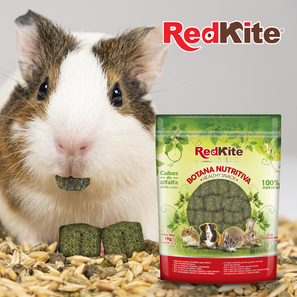 CUBOS DE ALFALFA SELECT 1 KG