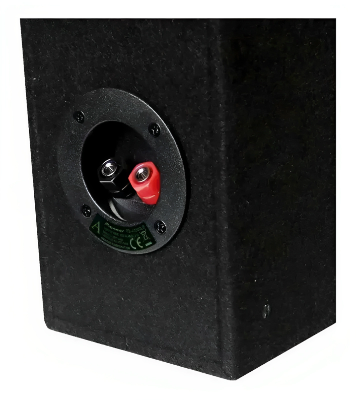 Cajón Subwoofer Pioneer Ts-a2500lb 300w 