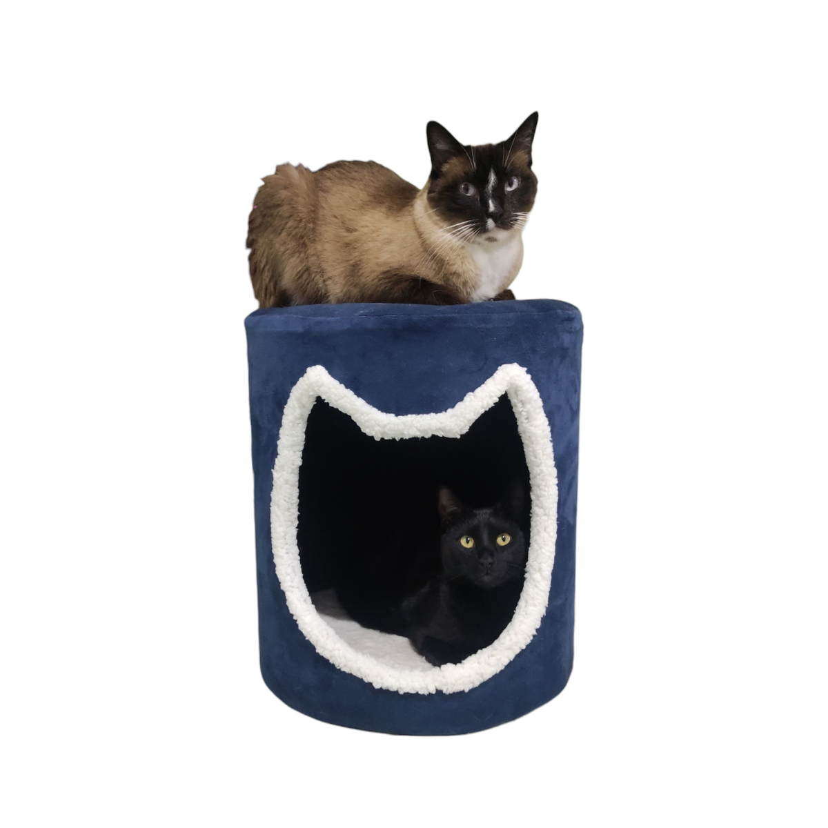 Casita Modular Para Gato Tela De Tapicería Decorativa | Color Azul Plumbago