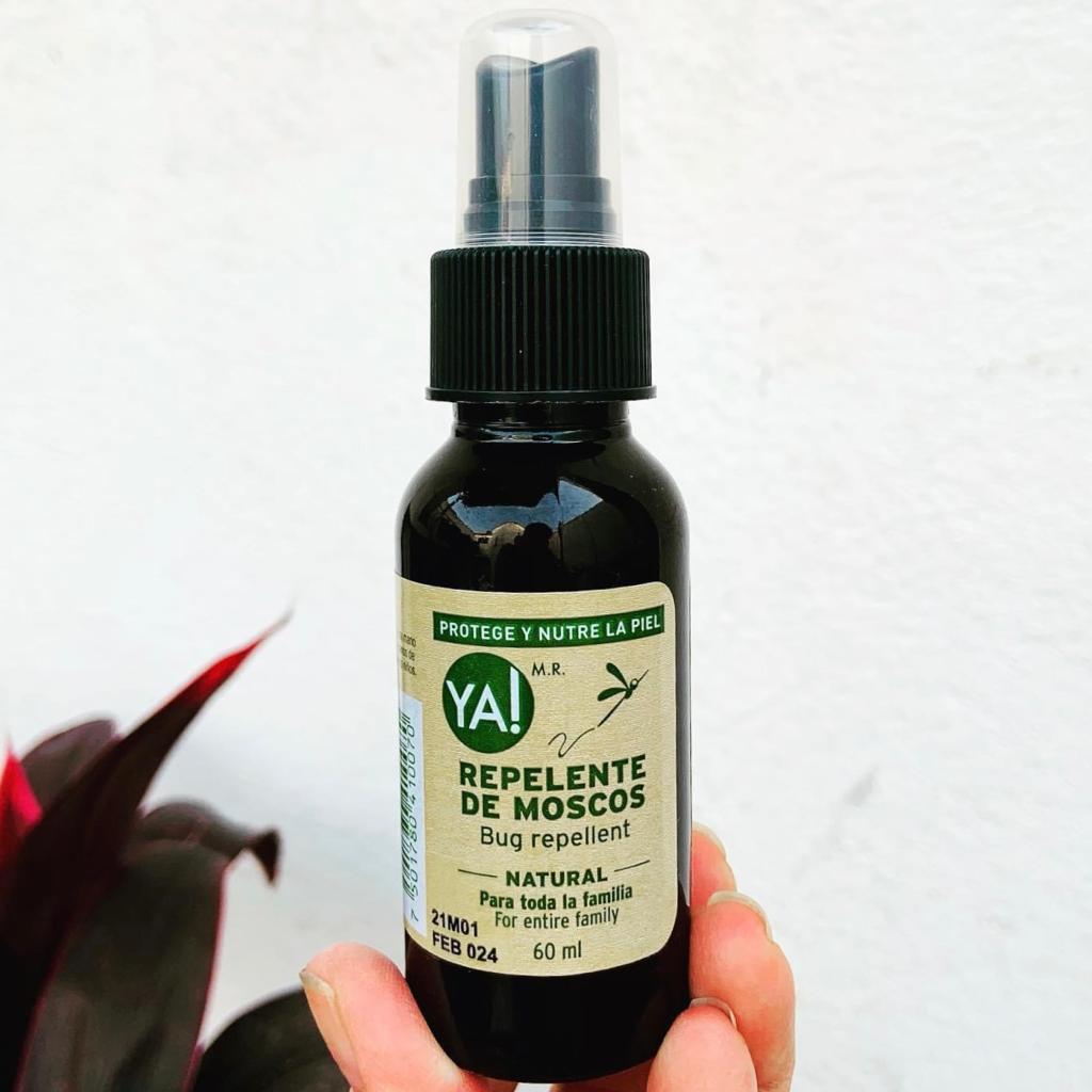 KIT BASICO VACACIONES PRODUCTOS YA!