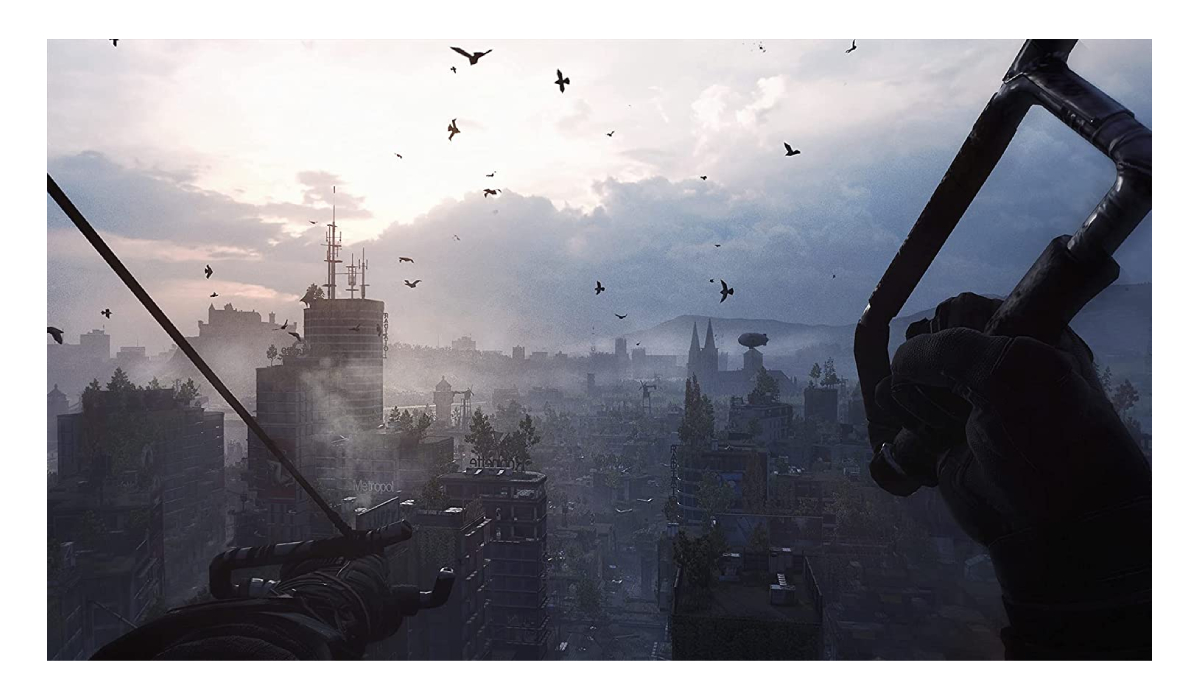 PS4 Juego Dying Light 2 Stay Human