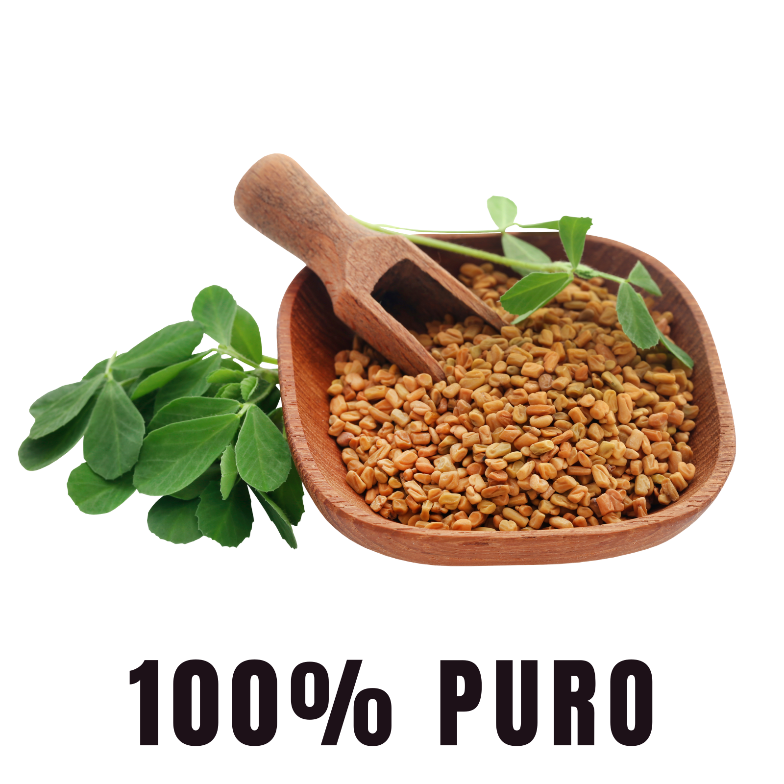 Fenogreco 100% Puro (180 Capsulas 500mg) |ORGANICO | NATURAL | Para 90 Dias | - Organic Fenogreco