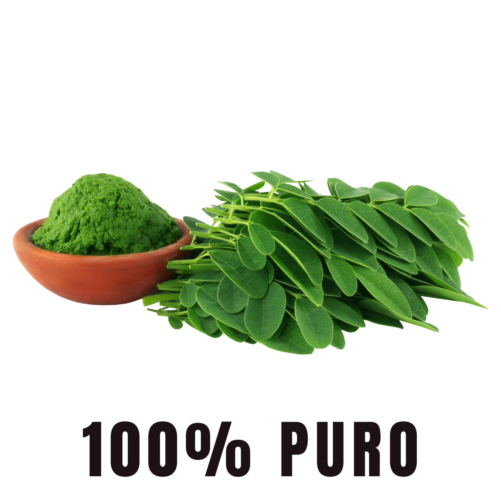 Moringa 100% Pura (180 Capsulas 500mg) |ORGANICO | NATURAL | Para 90 Dias | - Organic Moringa Powder