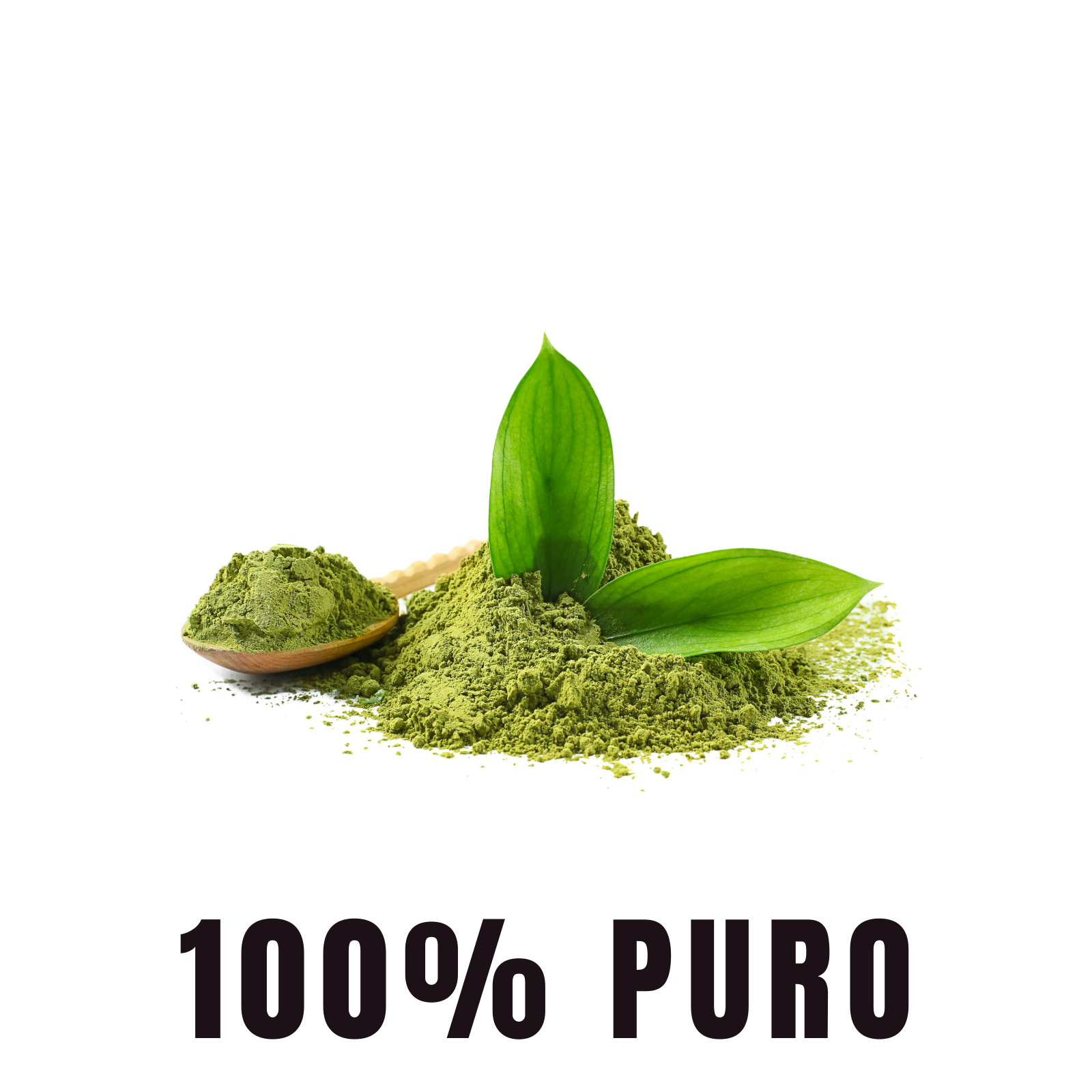 Matcha 100% Puro (180 Capsulas 500mg) |ORGANICO | NATURAL | Para 90 Dias | - Organic Matcha Powder