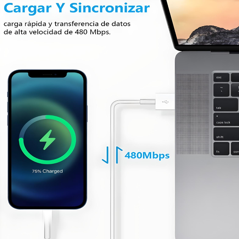 Cable De Cargador Usb Para iPhone iPad 2 Metro